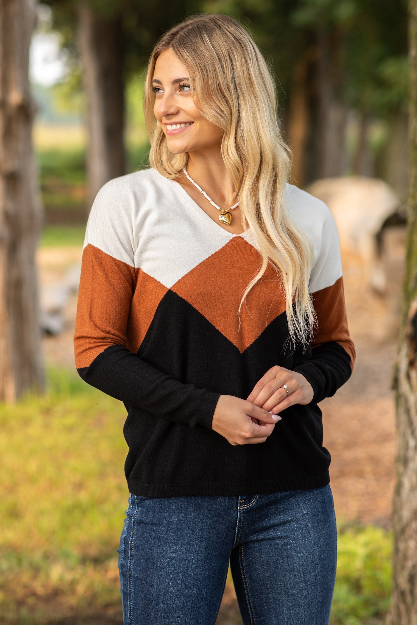 Colorblock Geometric Print V-Neck Sweater