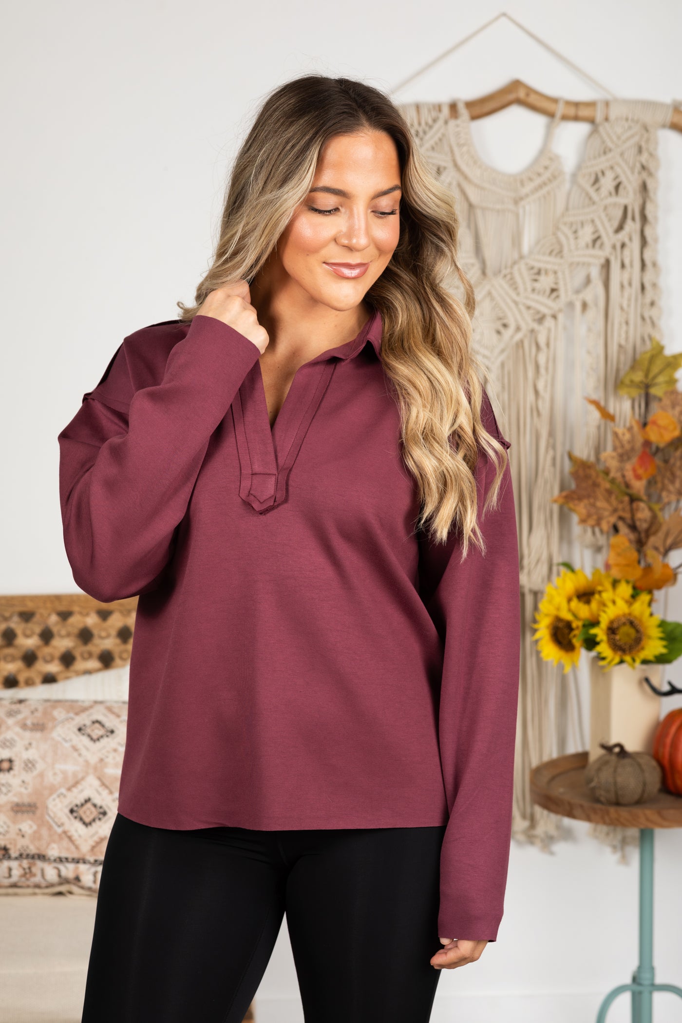 Plum V-Neck Collar Knit Long Sleeve Top