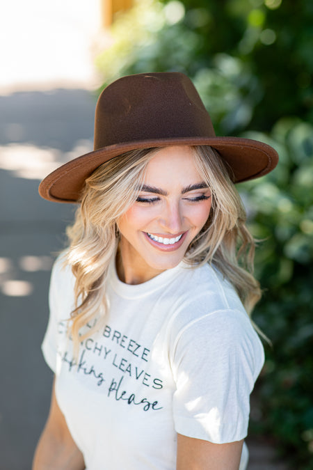 Brown Felted Wide Brim Hat