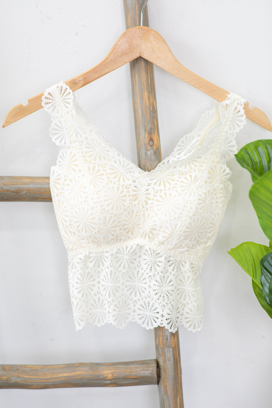 Ivory Scallop Lace V-Neck Bralette