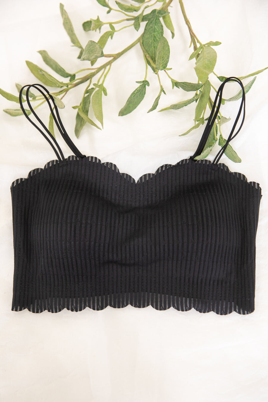 Black Scallop Edge Mesh Bralette