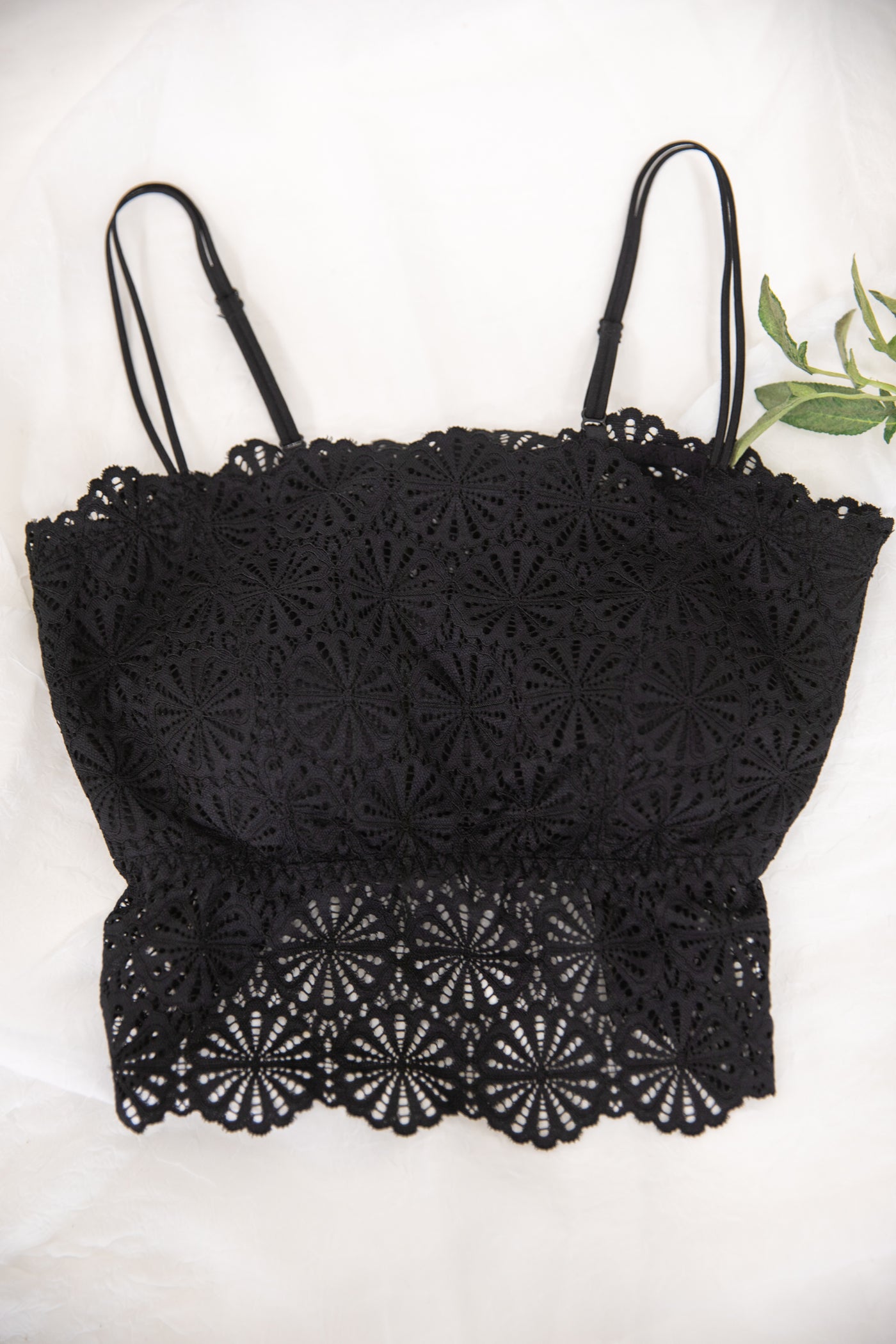 Black Scallop Lace Bralette Cami