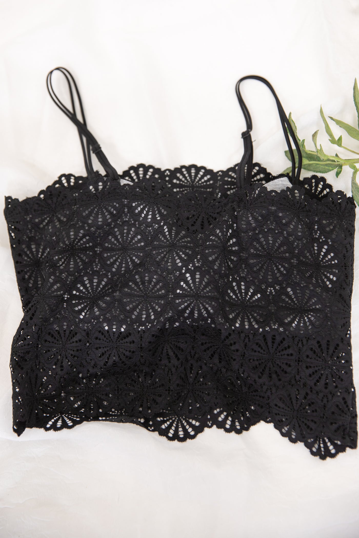 Black Scallop Lace Bralette Cami