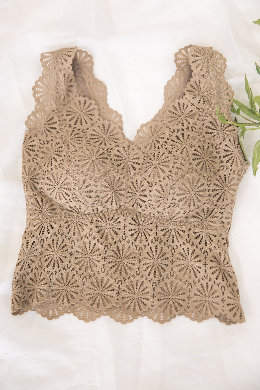 Light Taupe Scallop Lace V-Neck Bralette