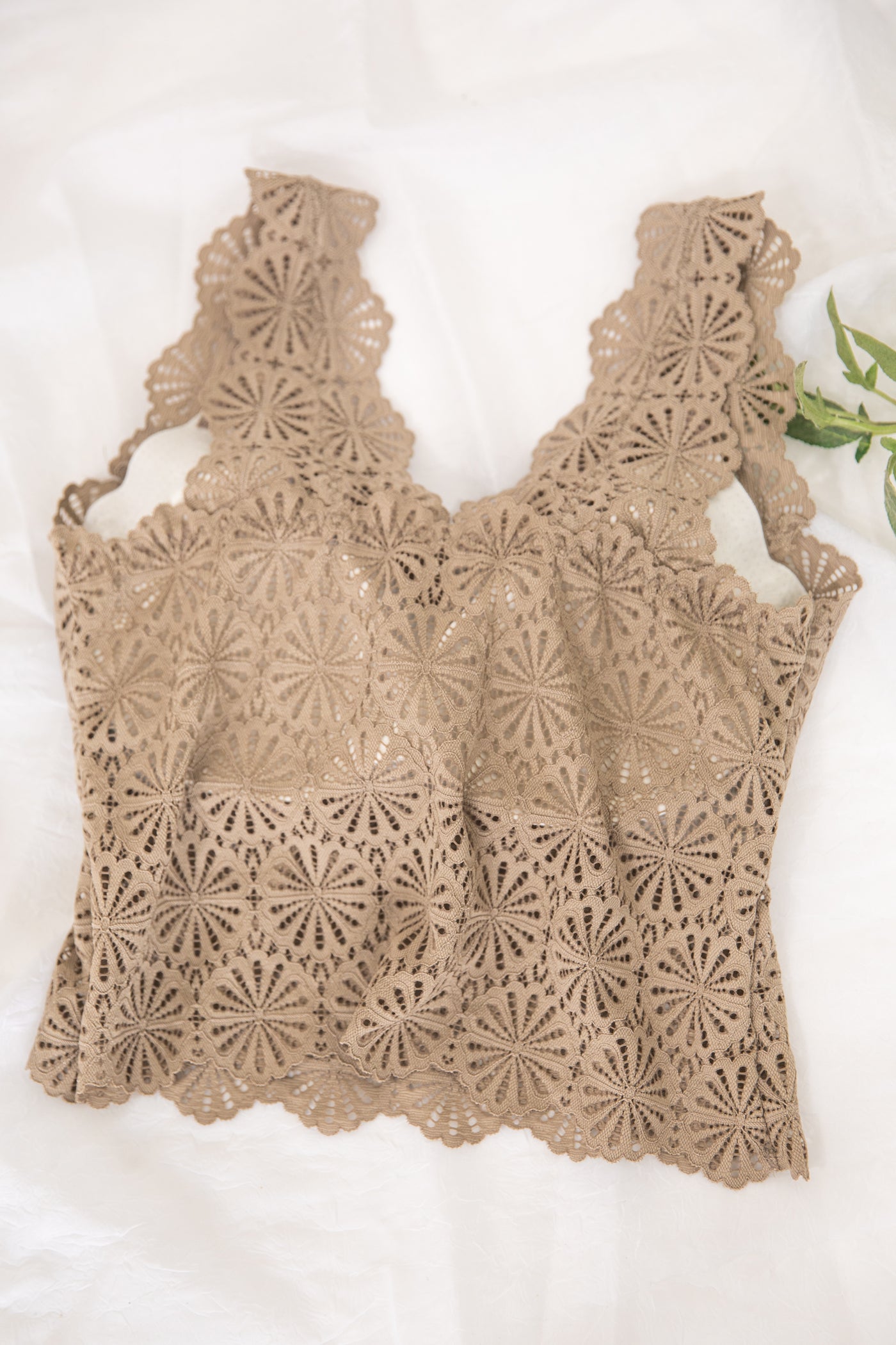 Light Taupe Scallop Lace V-Neck Bralette