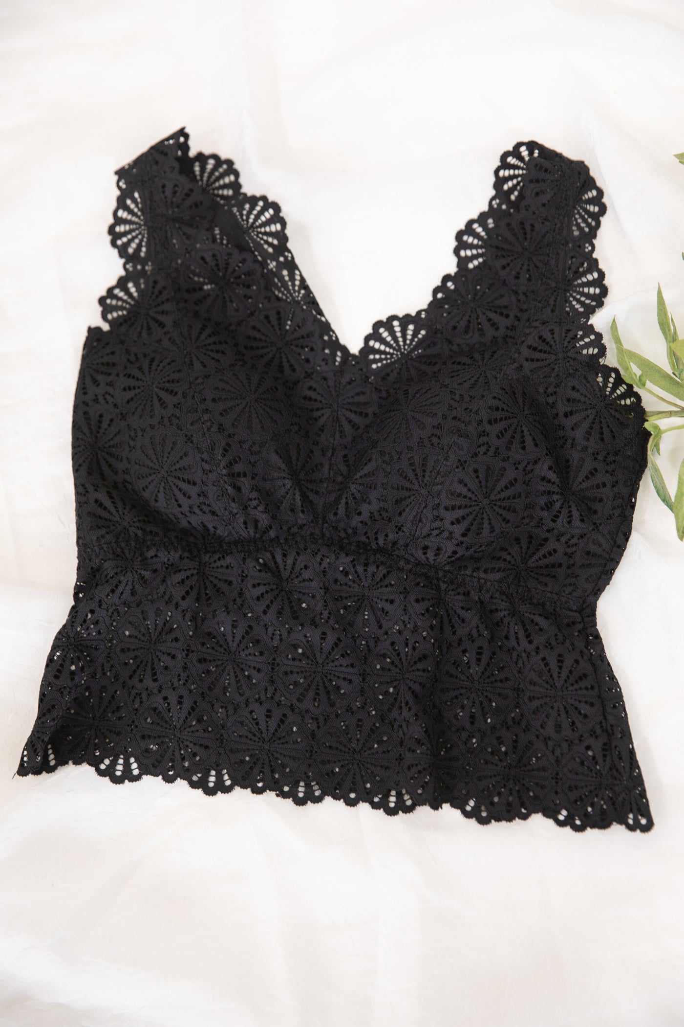 Black Scallop Lace V-Neck Bralette