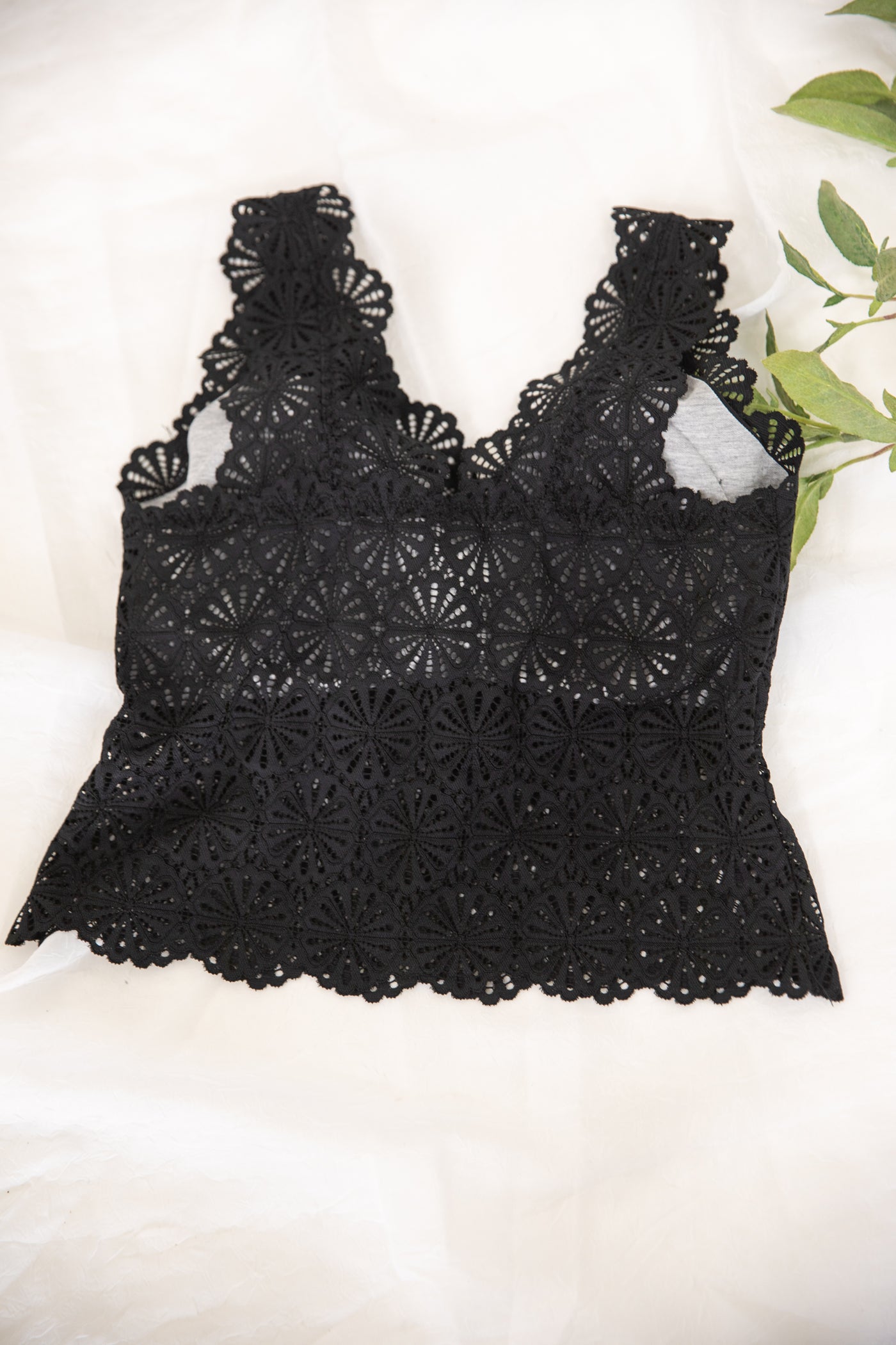 Black Scallop Lace V-Neck Bralette