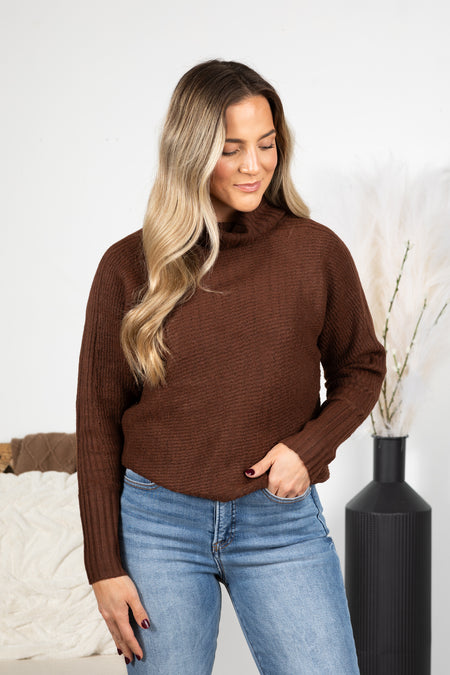 Brown Turtleneck Long Sleeve Sweater